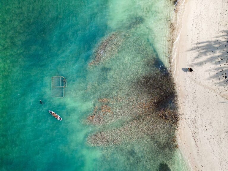 Conch Catcher in the Turks and Caicos.
